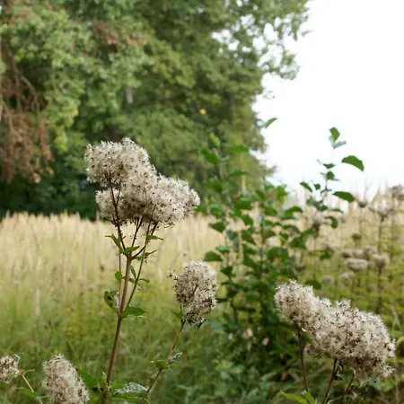 Marina Maisonette Seeblick Mit Pool Und Sauna * Бад-Заров