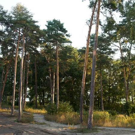 Marina Maisonette Seeblick Mit Pool Und Sauna Bad Saarow