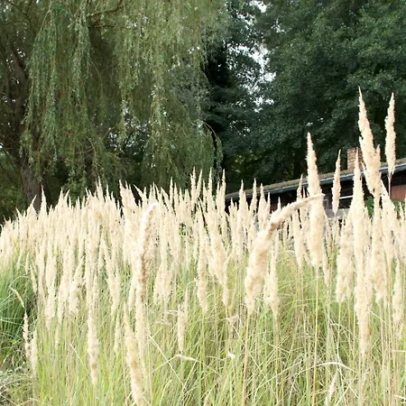 Marina Maisonette Seeblick Mit Pool Und Sauna