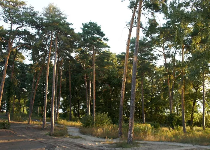 Marina Maisonette Seeblick Mit Pool Und Sauna Bad Saarow